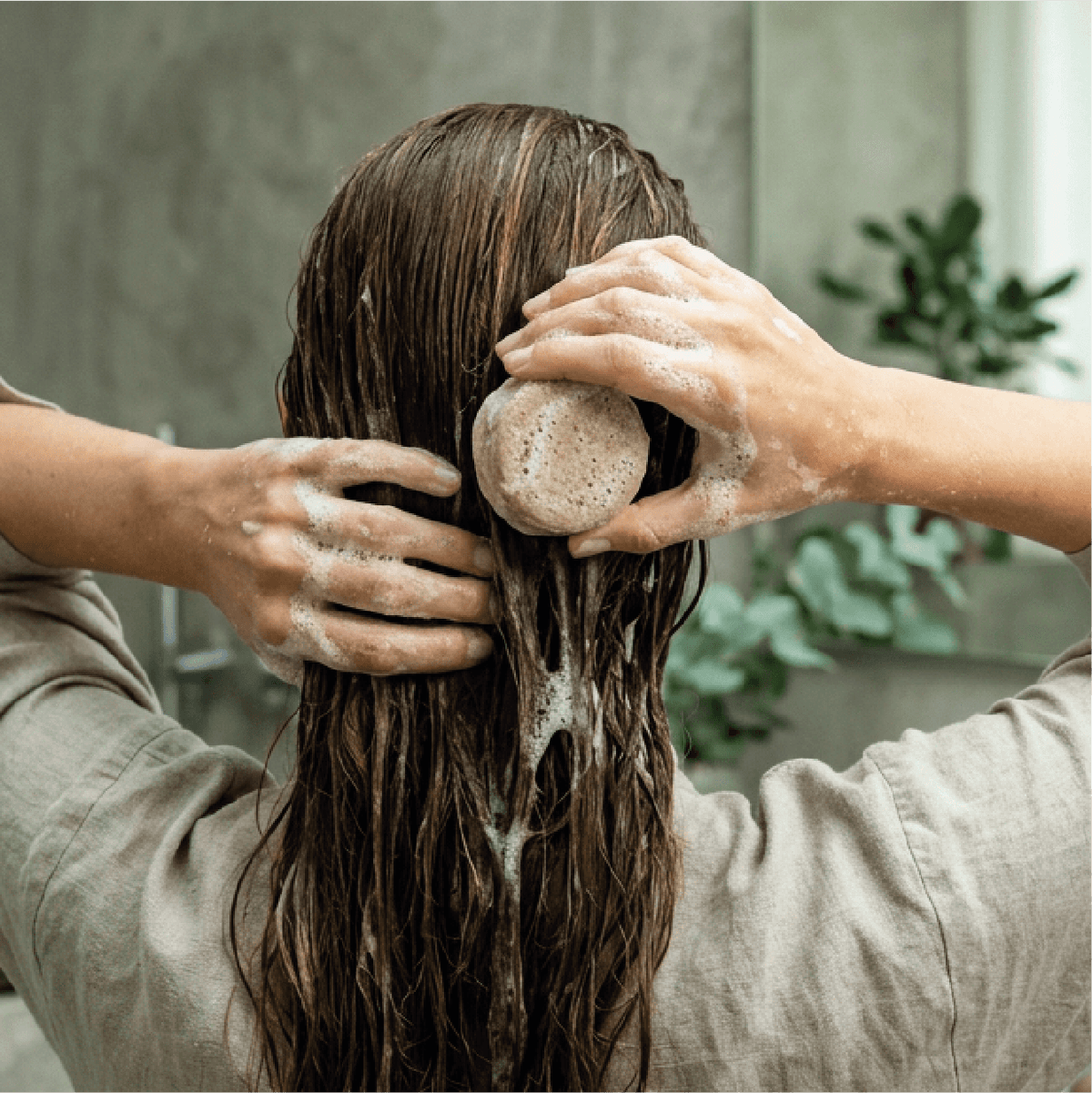 "Cheveux normaux" | Shampoing solide